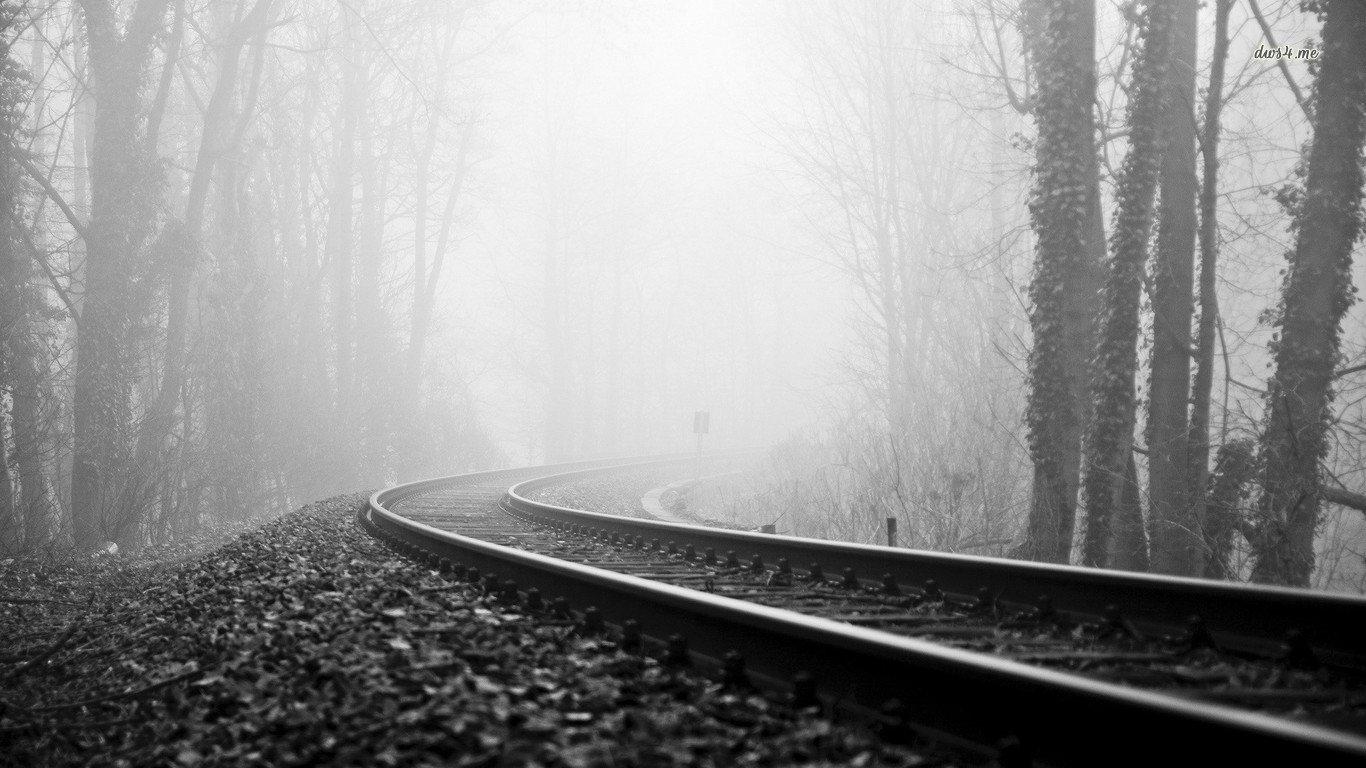Curving railroad tracks cutting through a foggy, wooded area with bare trees, creating a mysterious and quiet atmosphere in this man-made setting.