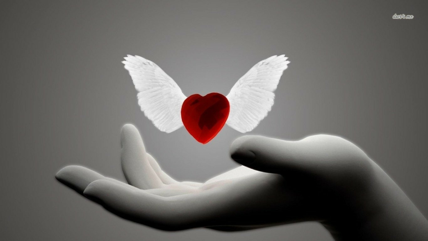 Artistic image of a red heart with white wings hovering above an open hand against a gray background.