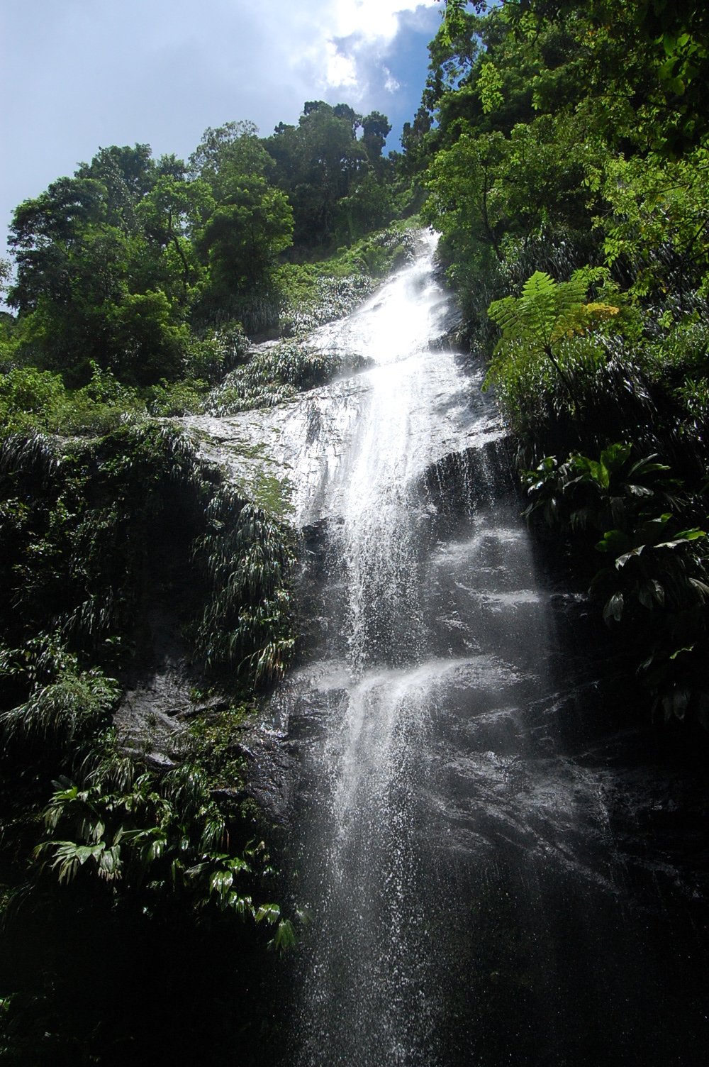 photography nature Image