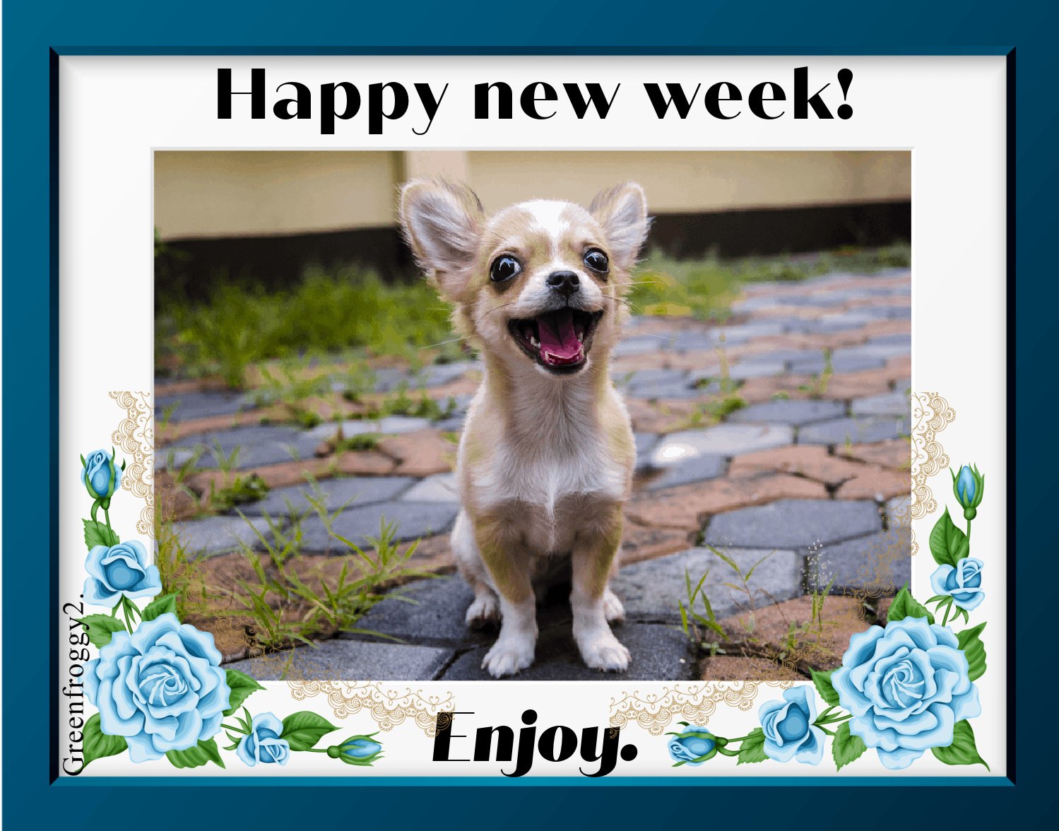 A cheerful small dog sitting on a stone path with blue flowers framing the photo and the text Happy new week! Enjoy. Misc, comment image.