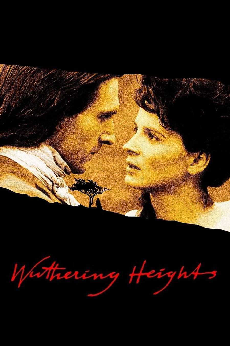 Wuthering Heights Picture - Image Abyss