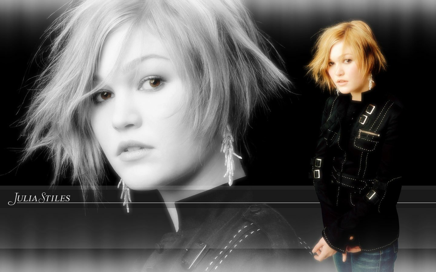 Celebrity Julia Stiles Image