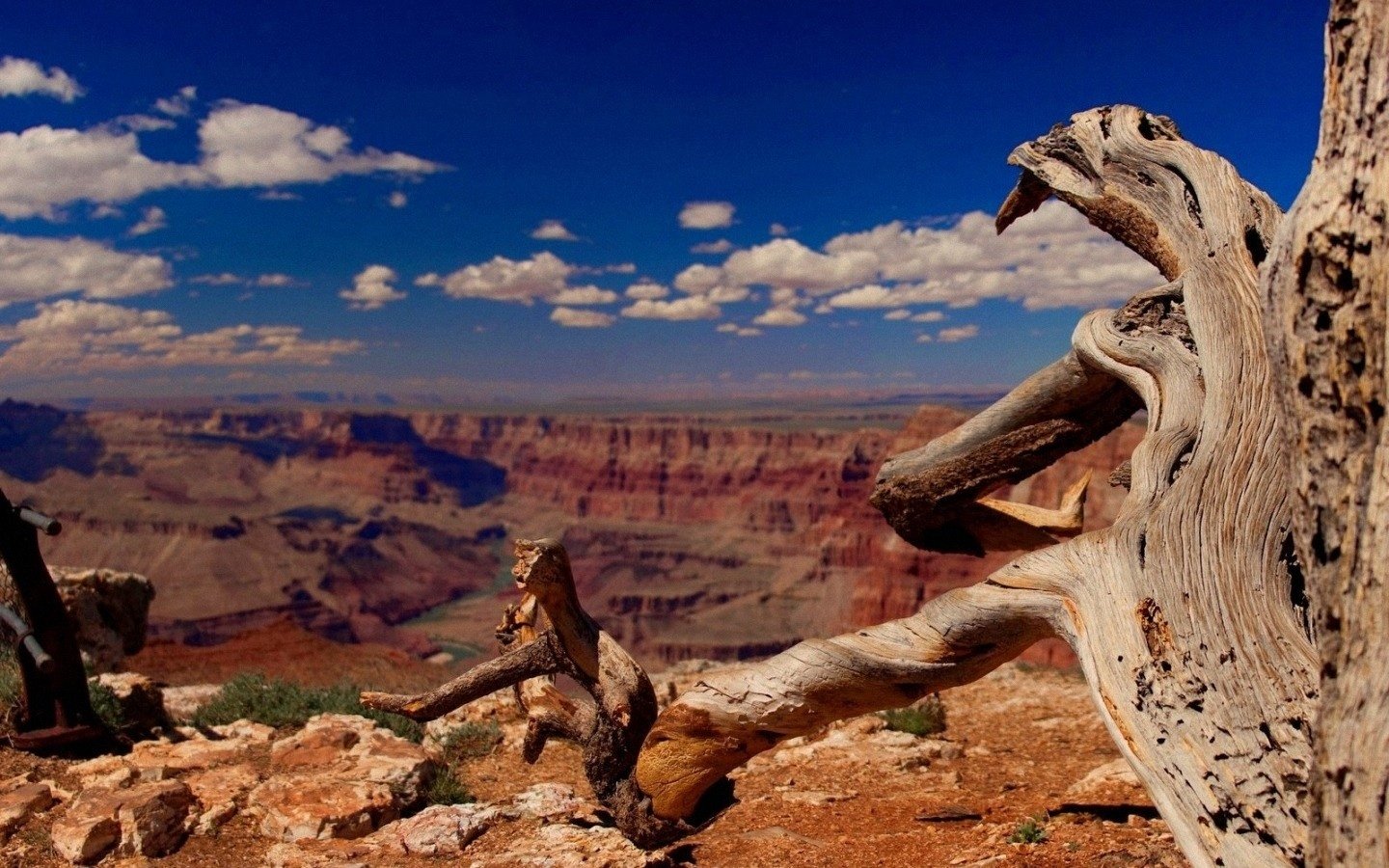 nature grand canyon Image