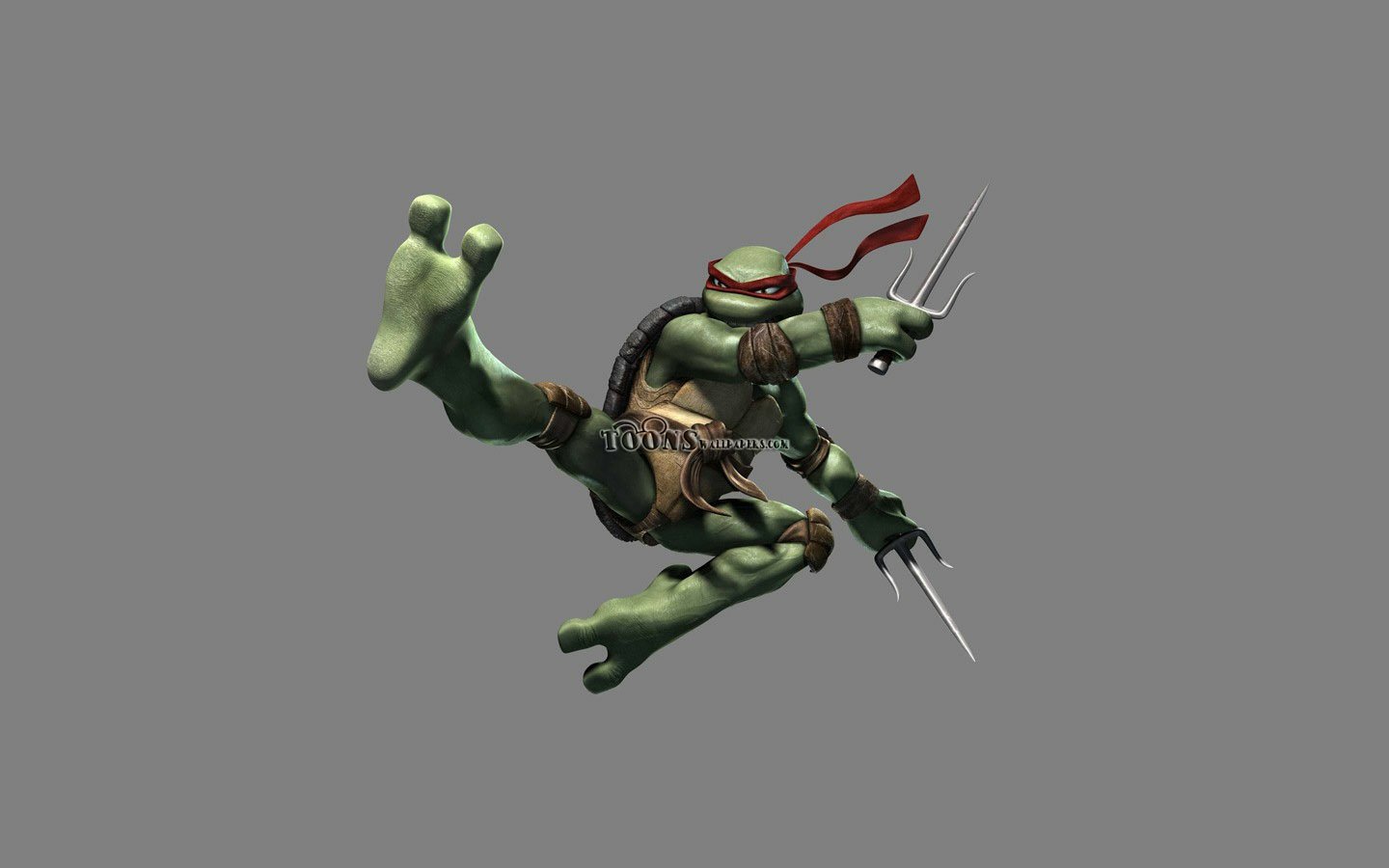 Raphael (TMNT) Teenage Mutant Ninja Turtles TV Show Image