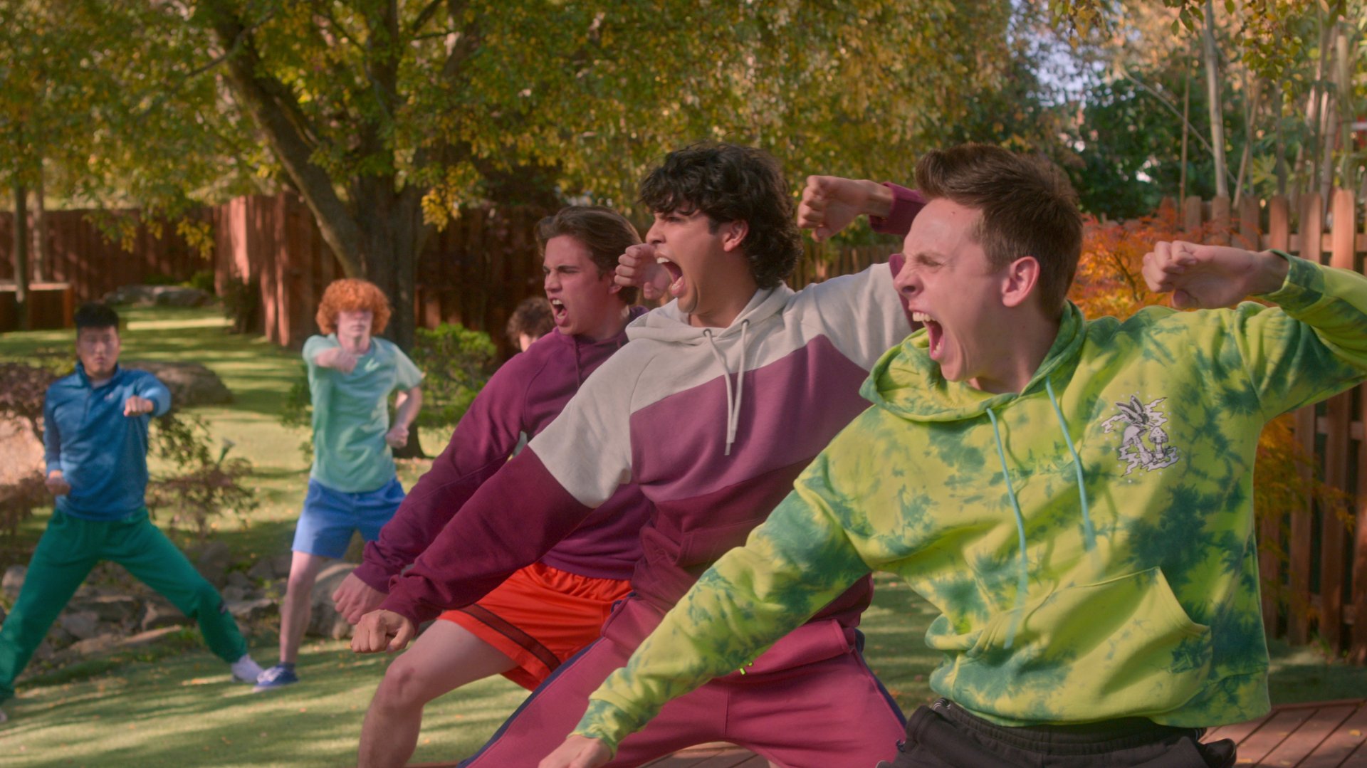 TV Show Cobra Kai Image