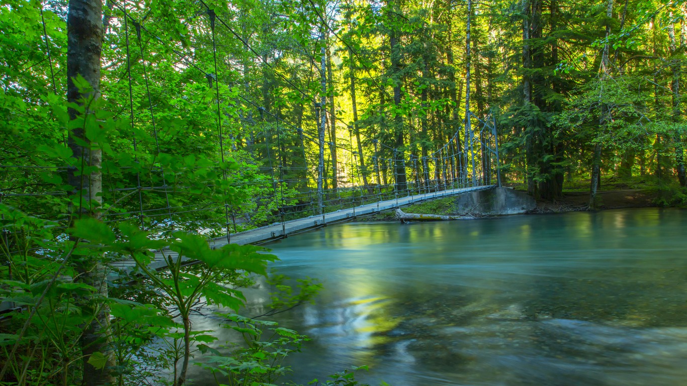 Forest Creek
