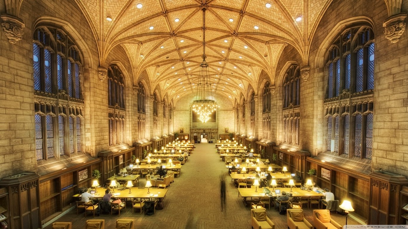 man made library Image