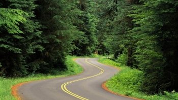 Preview Roads