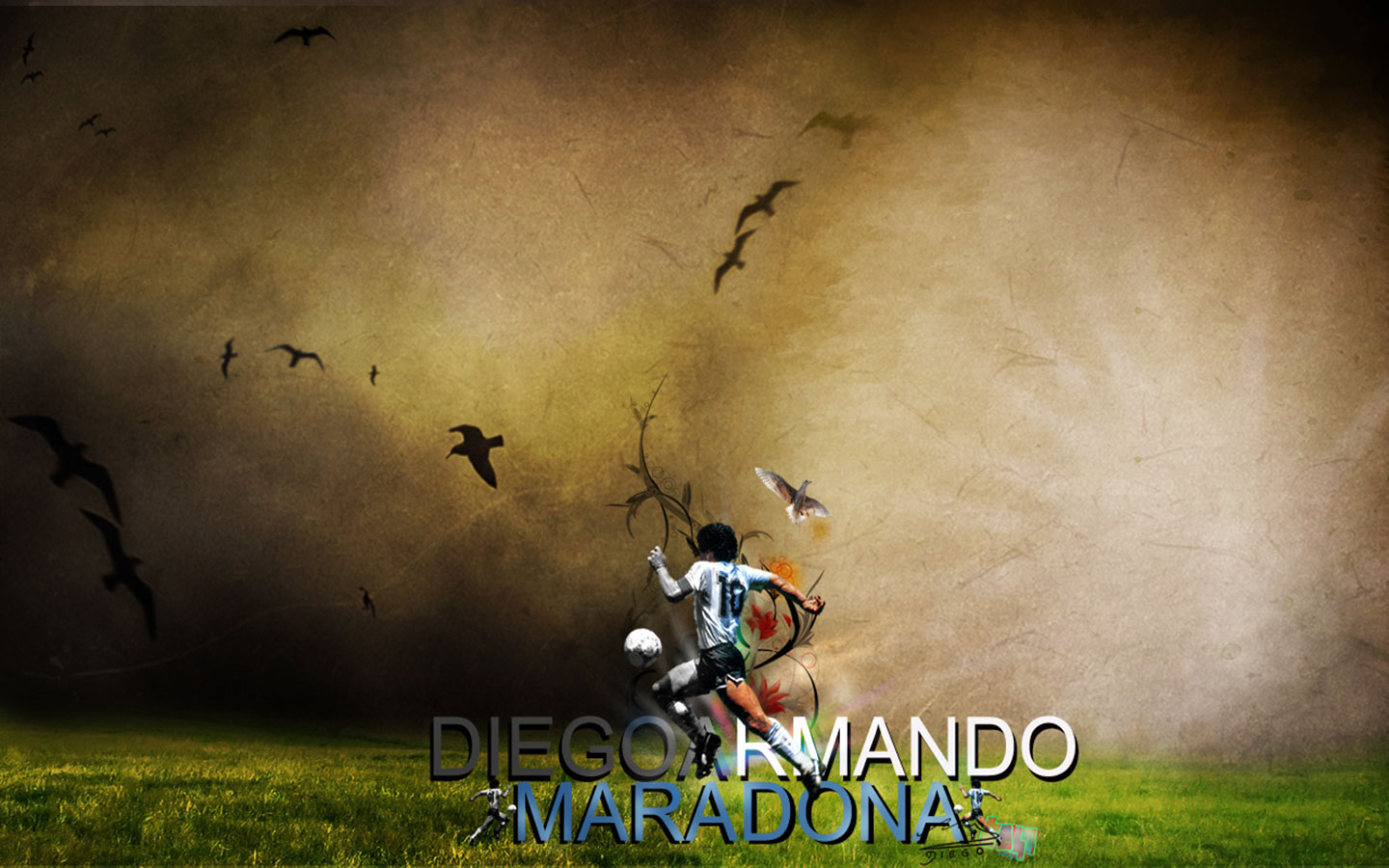 Diego Armando Maradona Picture