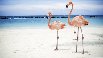 Preview Image 574993