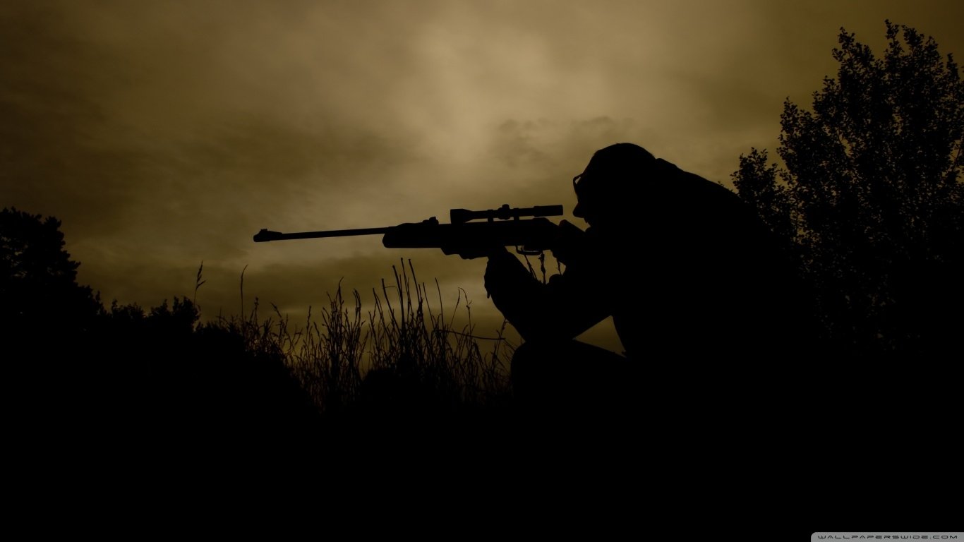 Silhouetted military sniper aiming a rifle against a dusk sky, surrounded by tall grass and trees.