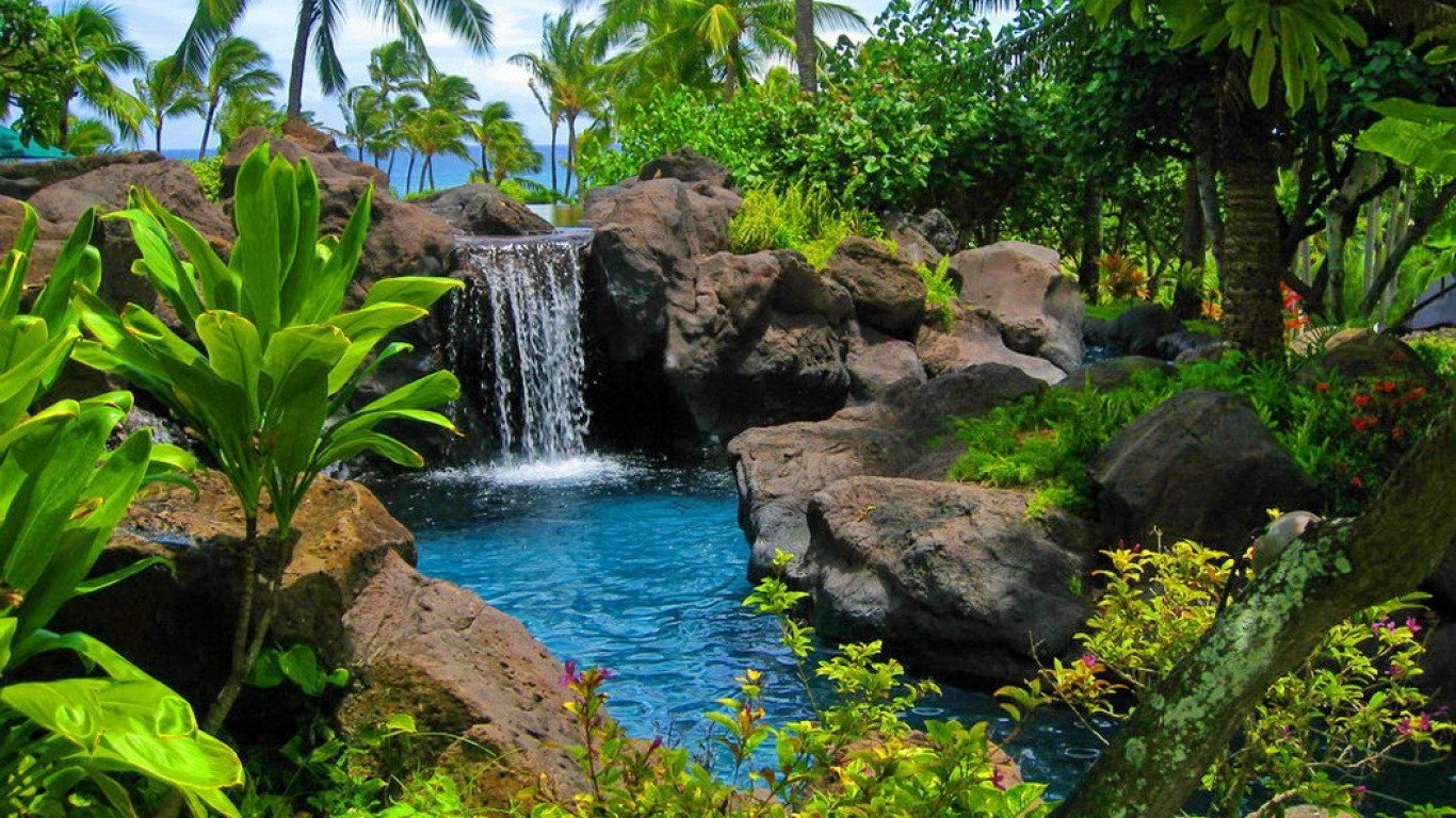 A serene waterfall cascades over rocks into a clear blue pool, surrounded by lush tropical plants and palm trees, capturing the beauty of nature.