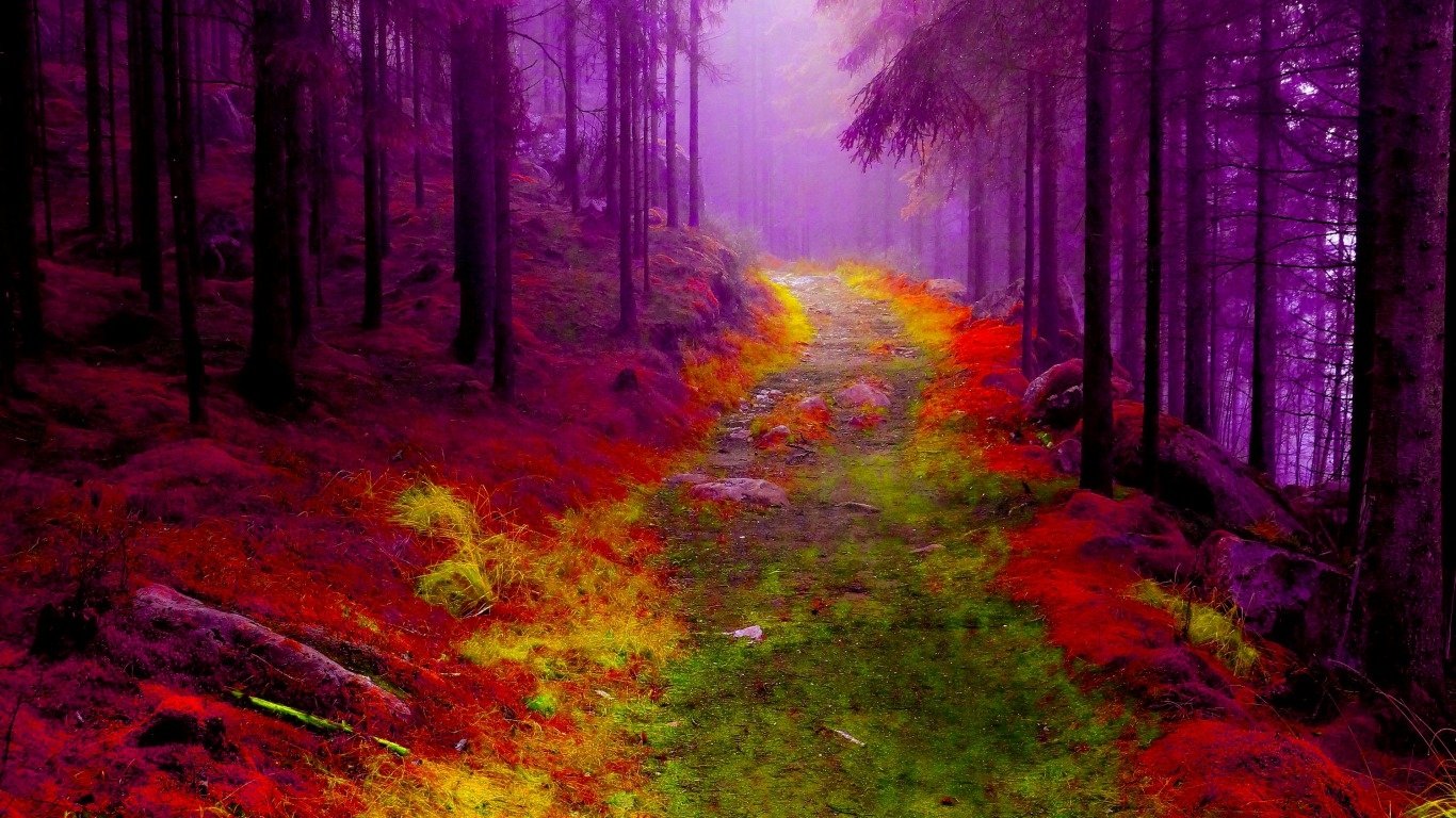 Enchanting Forest Pathway