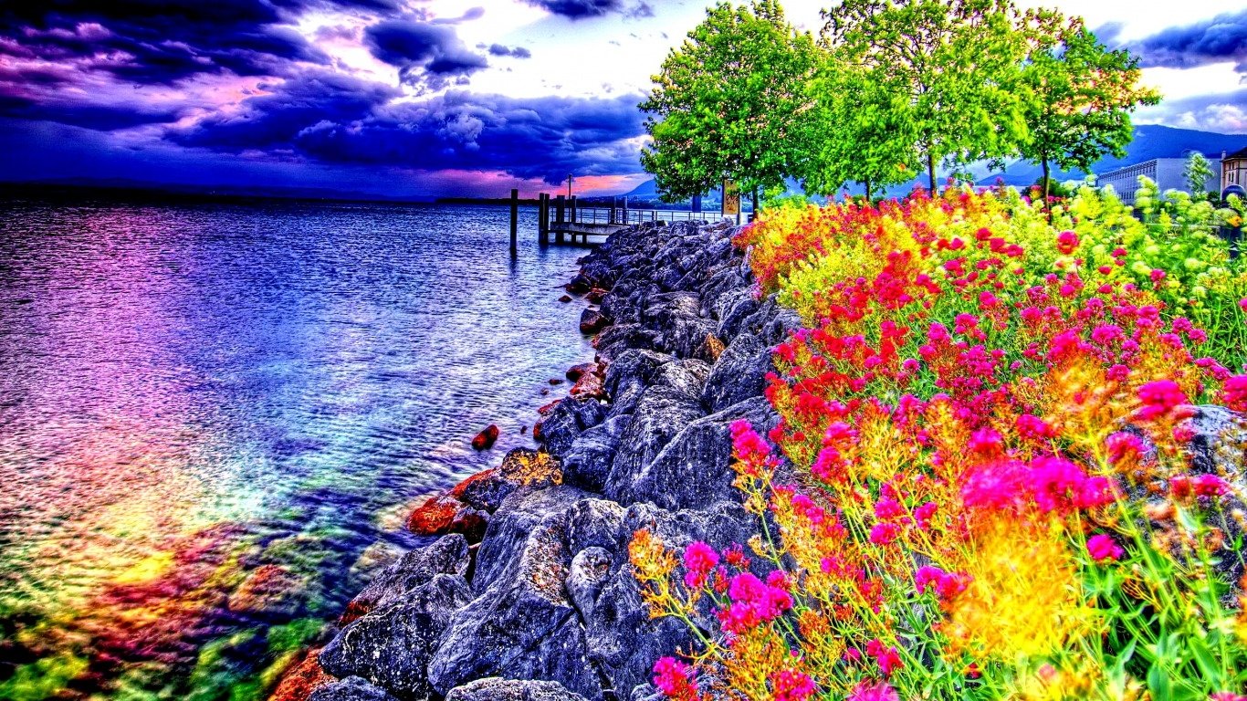  Lakeside View