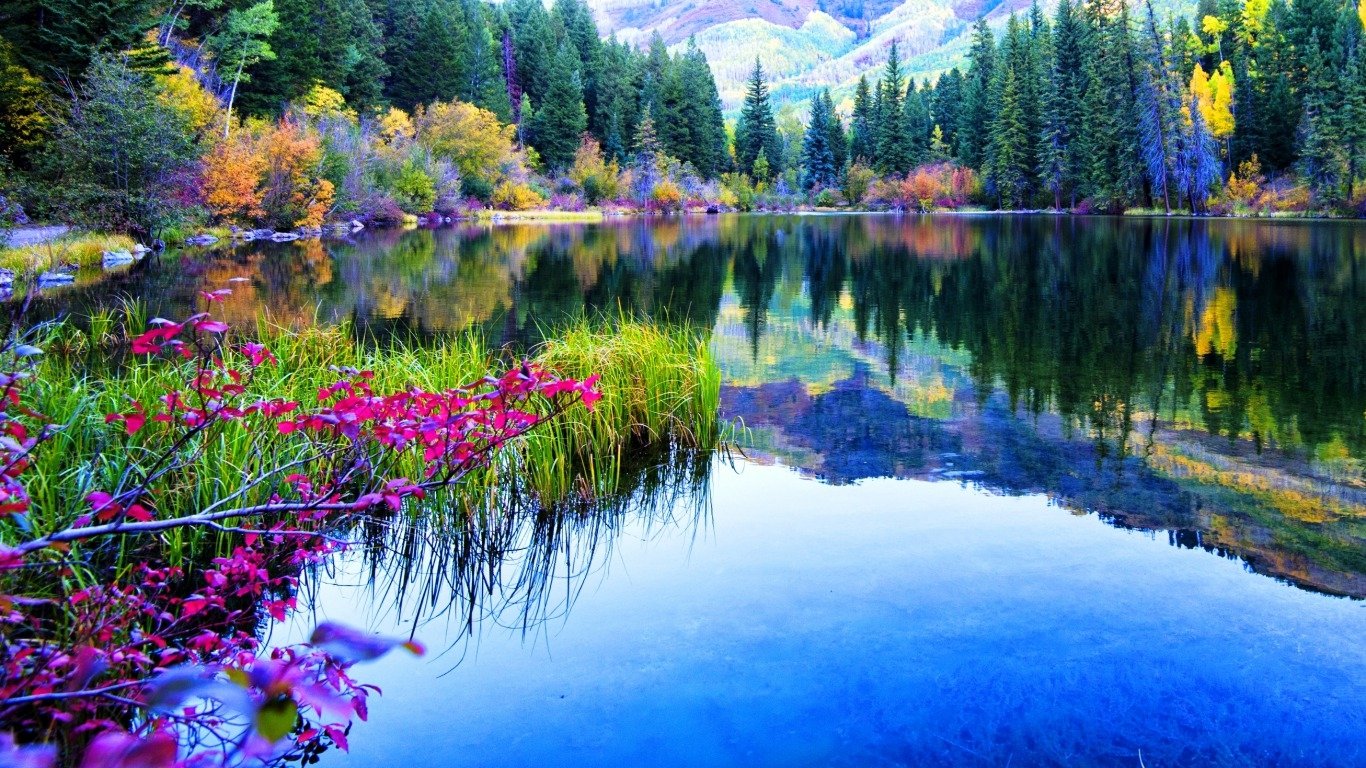 A serene lake reflects colorful autumn foliage and surrounding evergreens, showcasing the tranquil beauty of nature in a vibrant setting.