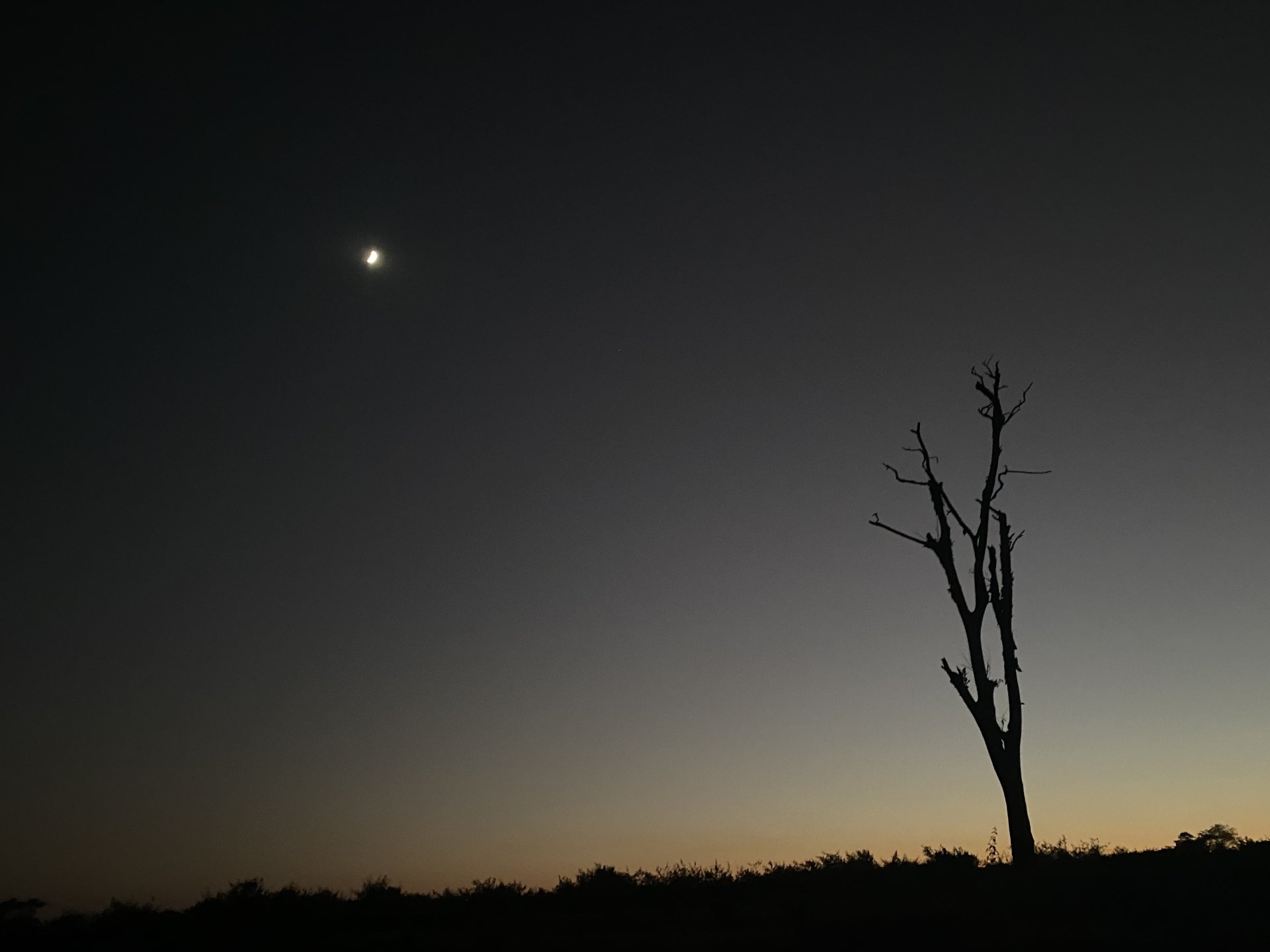  The beauty of the moon is with dark