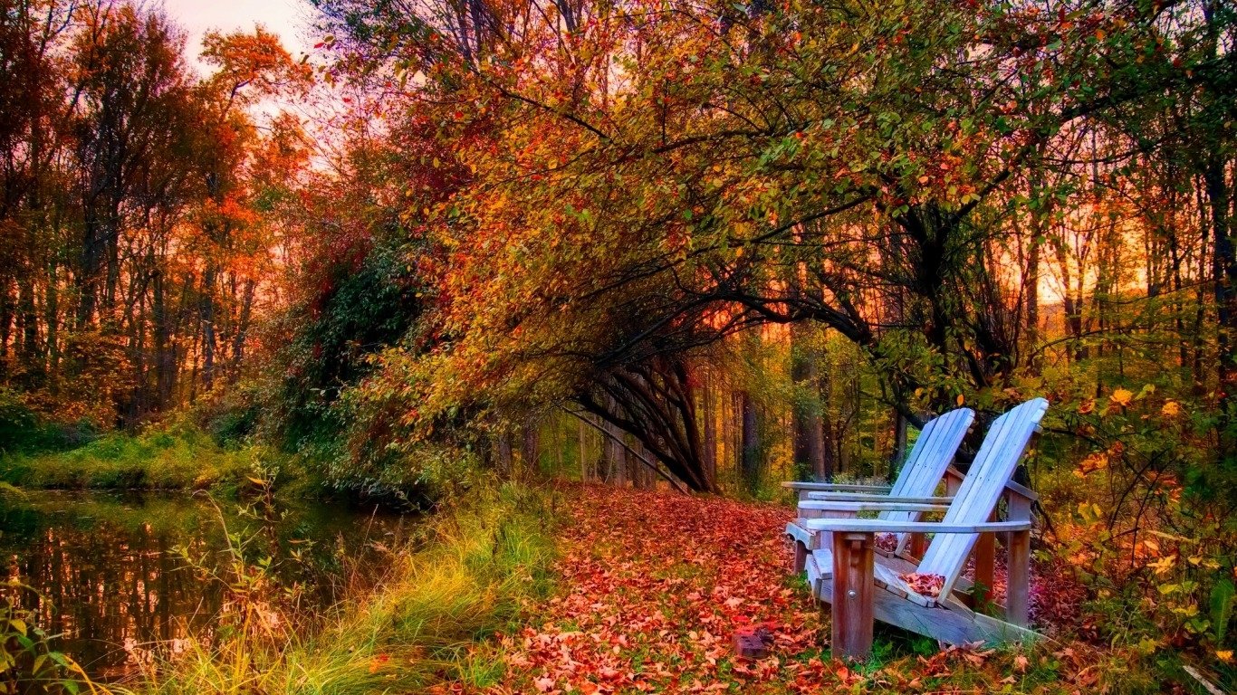 Two wooden chairs sit beside a calm pond in a forest, surrounded by vibrant fall foliage and scattered leaves on the ground.