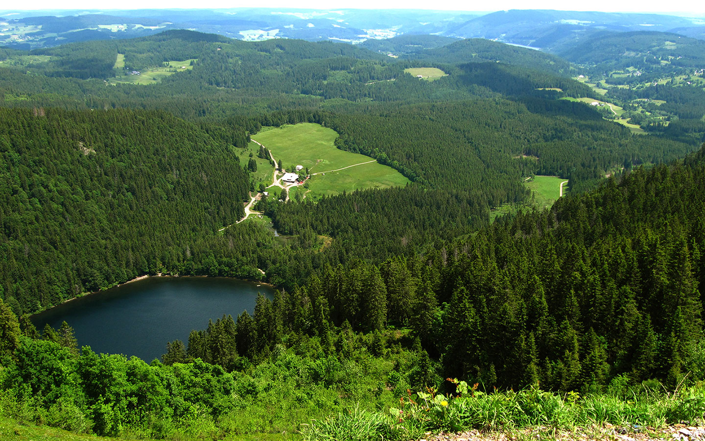 Черный лес в германии фото