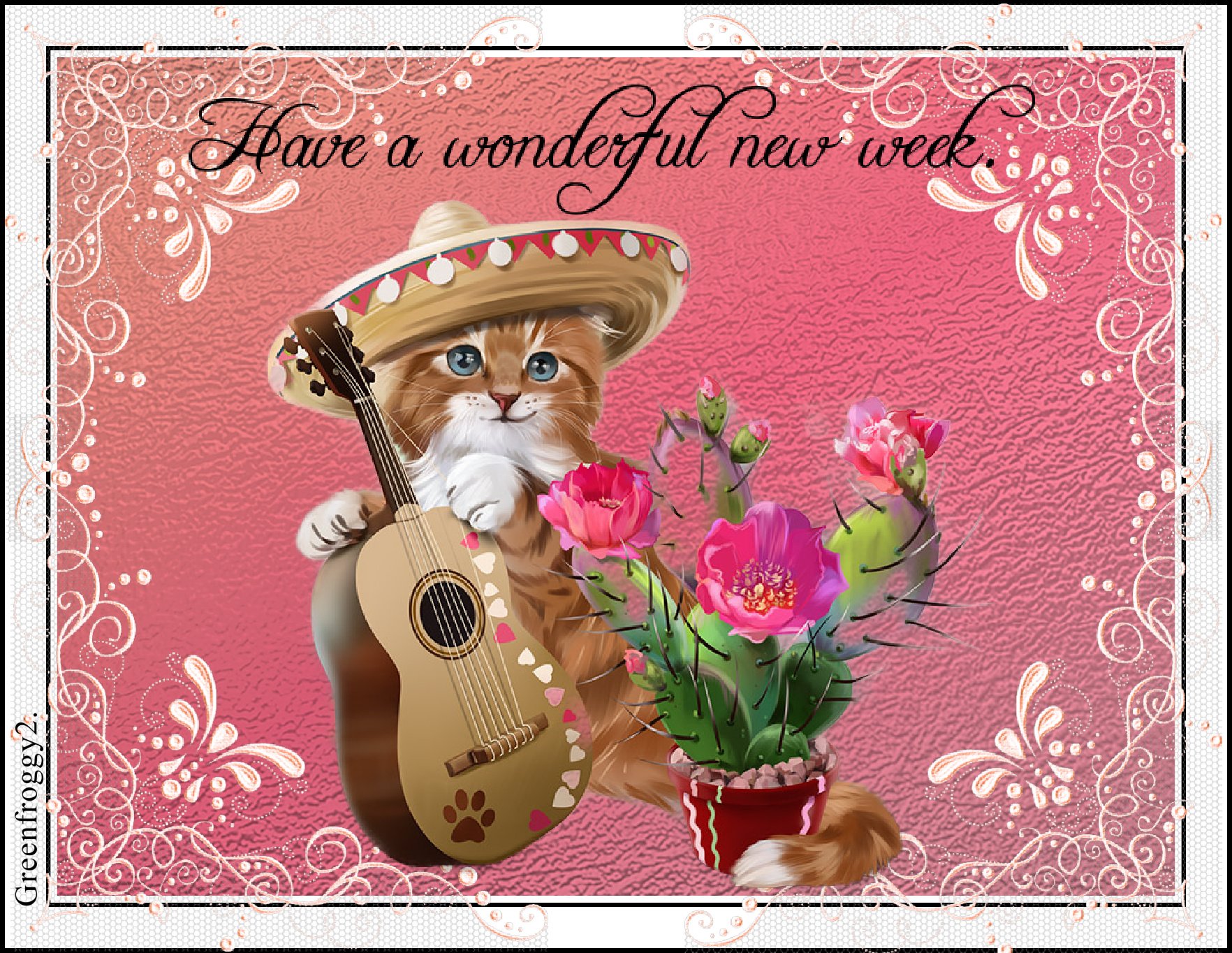 Misc, comment: Cute illustration of an orange kitten in a sombrero holding a guitar beside pink flowers and the script Have a wonderful new week.
