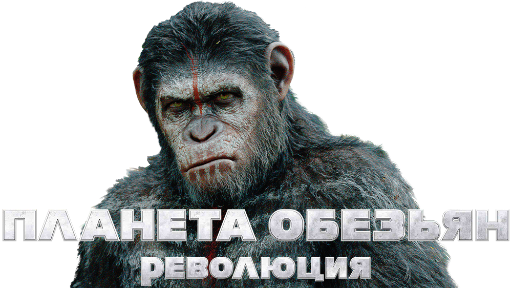 Dawn of the Planet of the Apes Picture