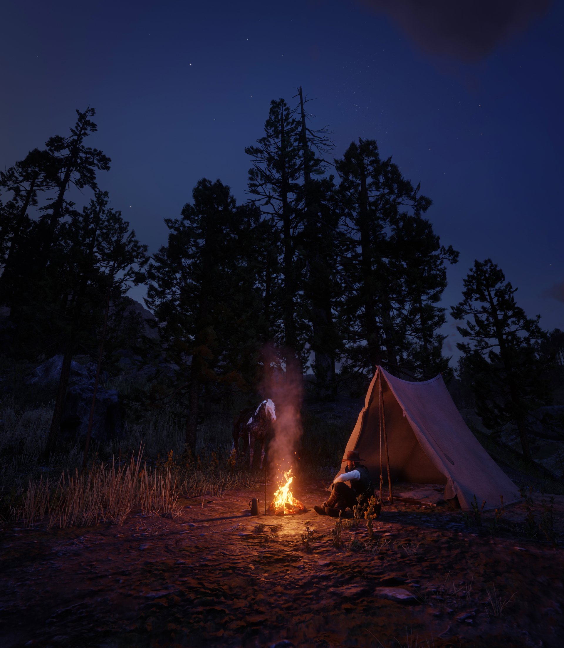 sunset campfire video game Red Dead Redemption 2 Image