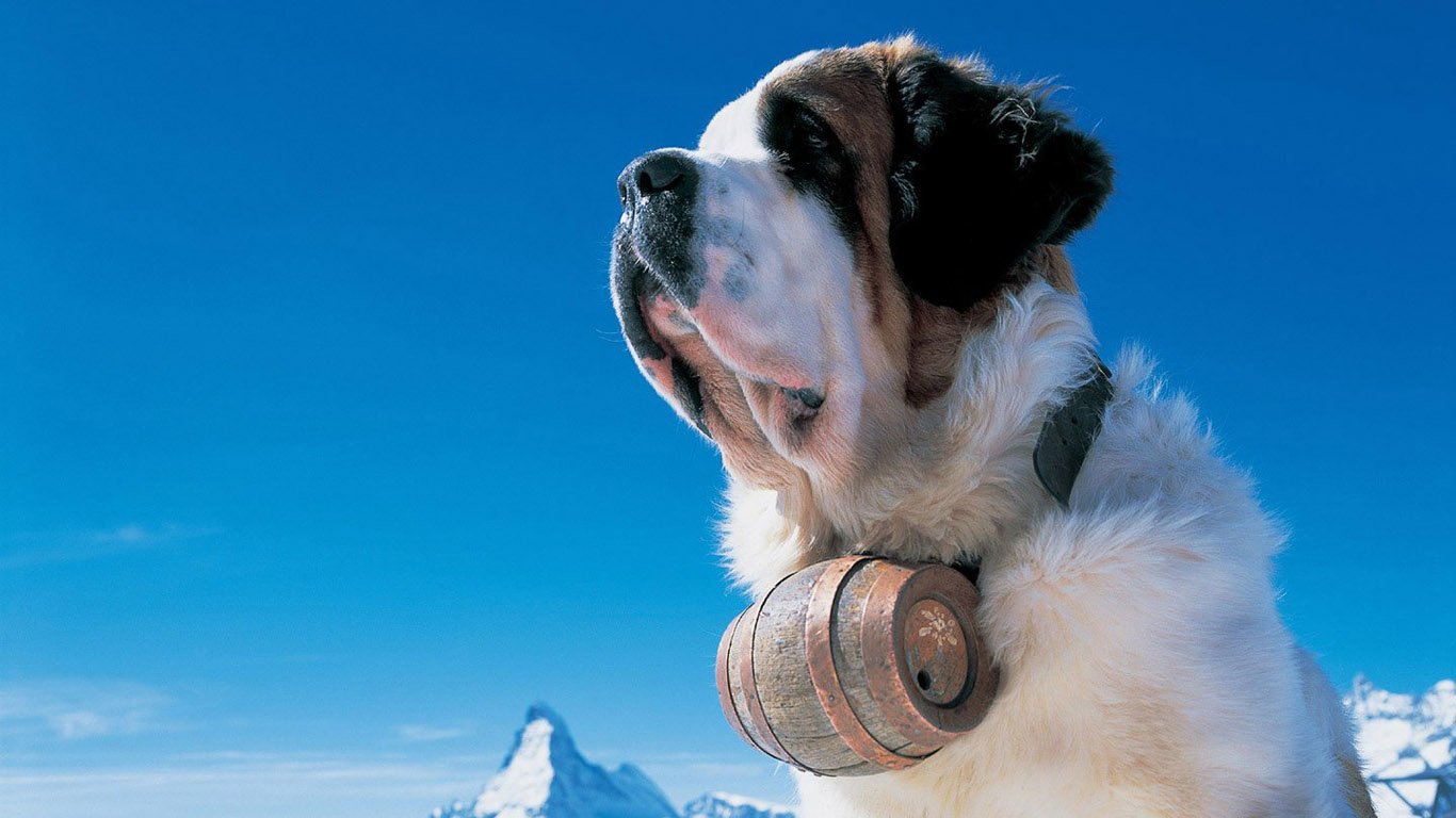 A St. Bernard dog stands majestically against a clear blue sky, wearing a traditional barrel around its neck, with a snowy mountain peak in the background.