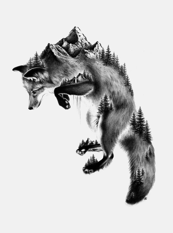 Fantasy Fox Picture