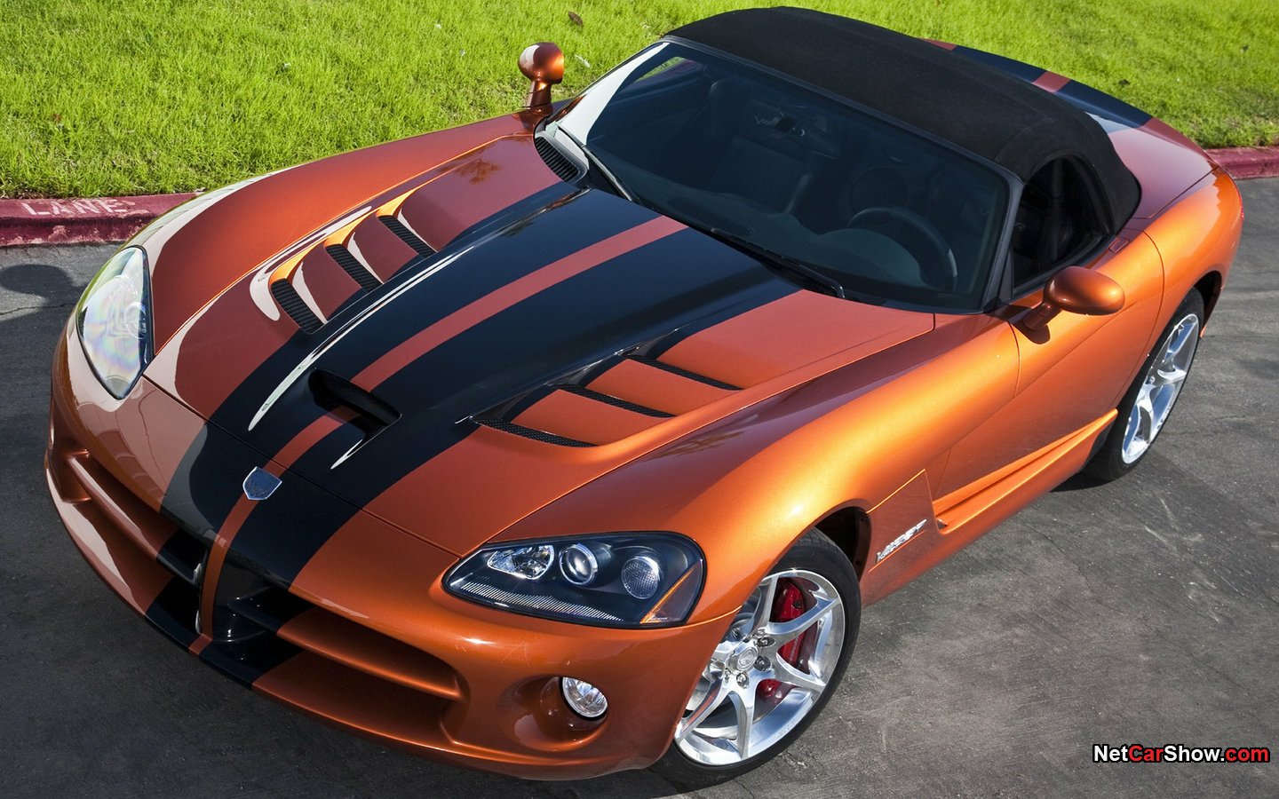 vehicle Dodge Viper Image