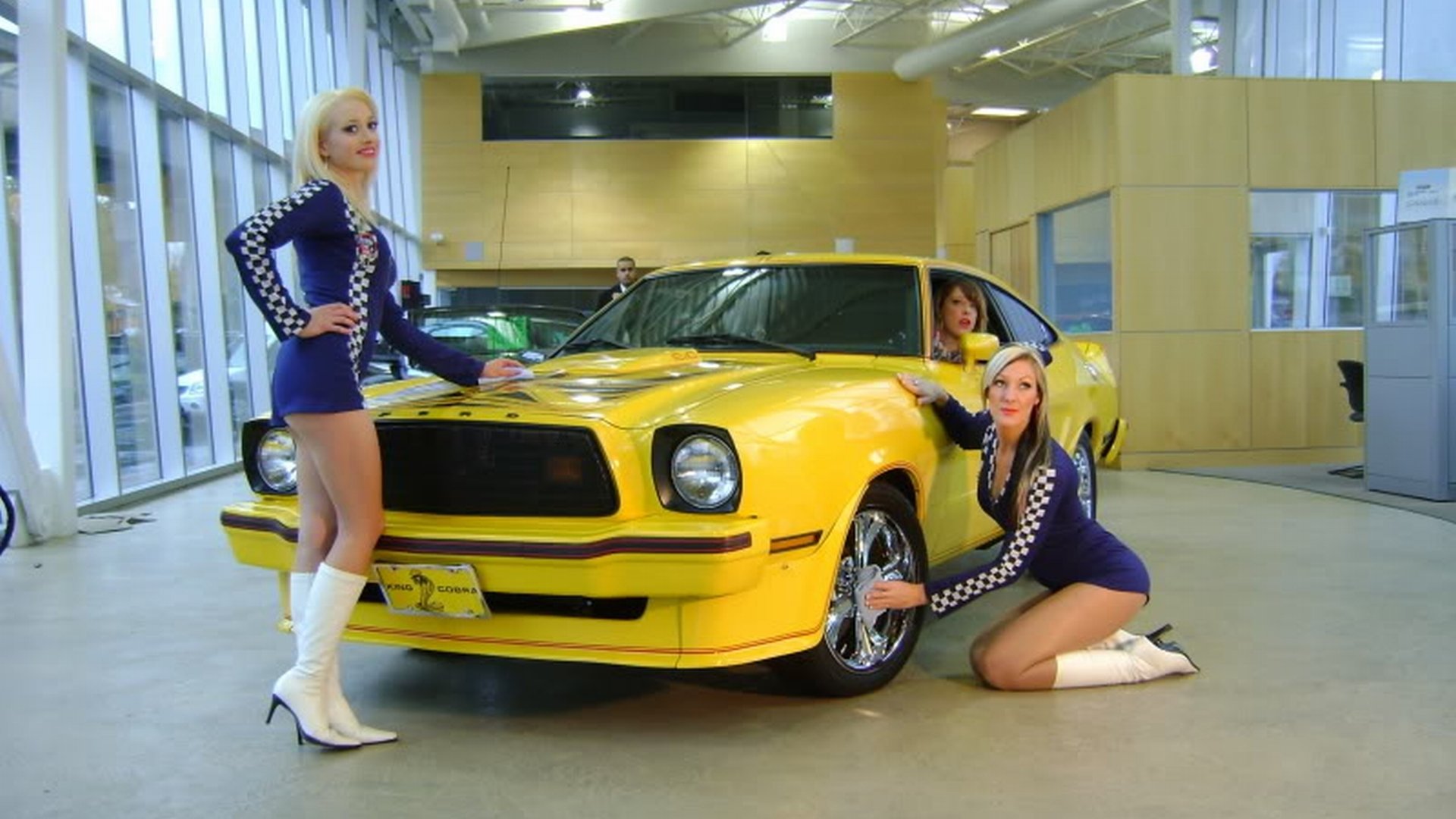 vehicle ford mustang king cobra Image