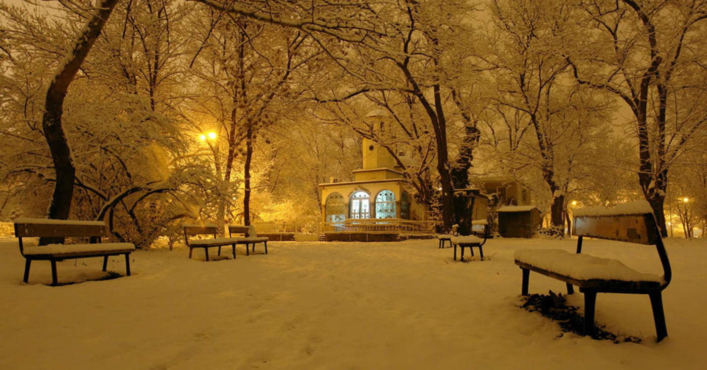 Park on Winter Evening