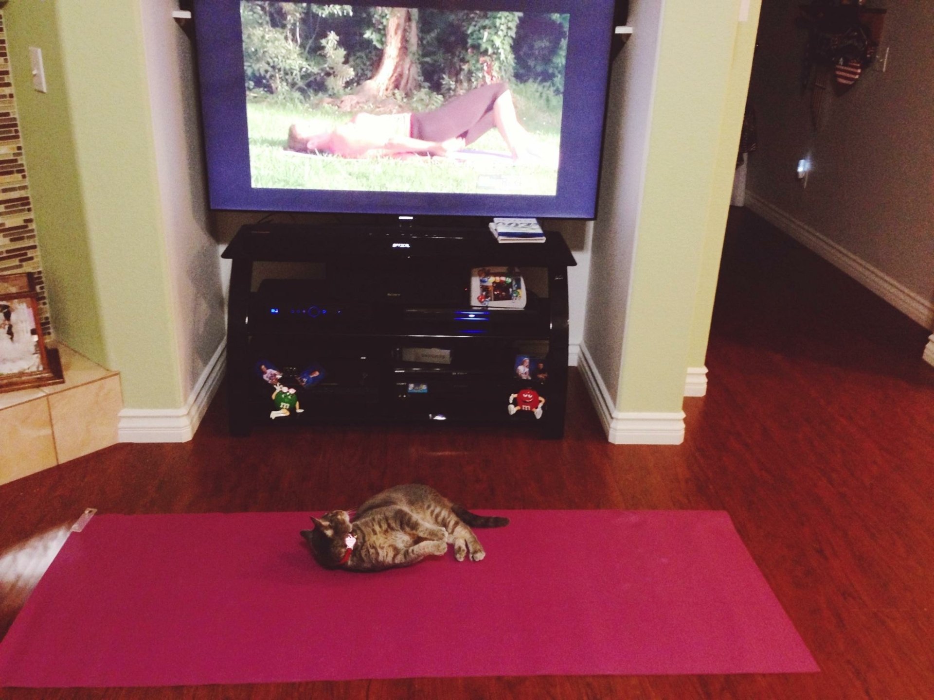 Tabby cat sprawled on a pink yoga mat in a living room, resting in front of a television showing a nature scene.