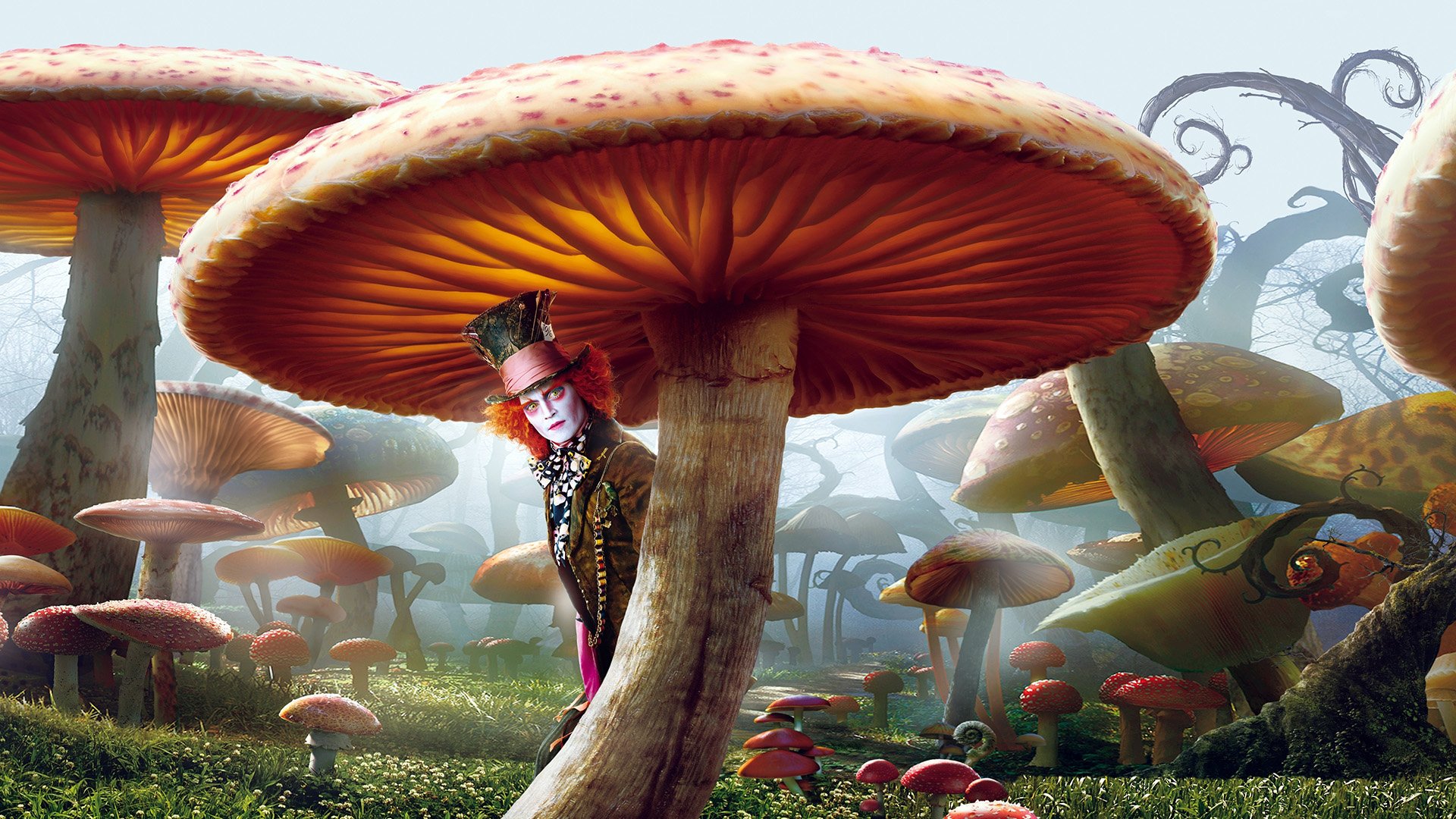mushroom fantasy Mad Hatter Johnny Depp movie Alice in Wonderland (2010) Image