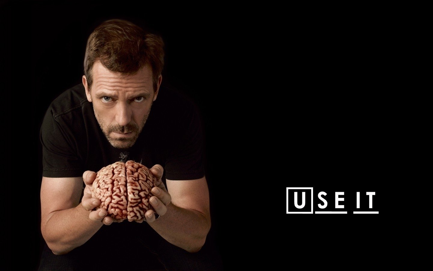 Hugh Laurie as Gregory House holds a brain, emphasizing intellect in a dramatic moment from the TV show House. The tagline USE IT enhances the image's impact.