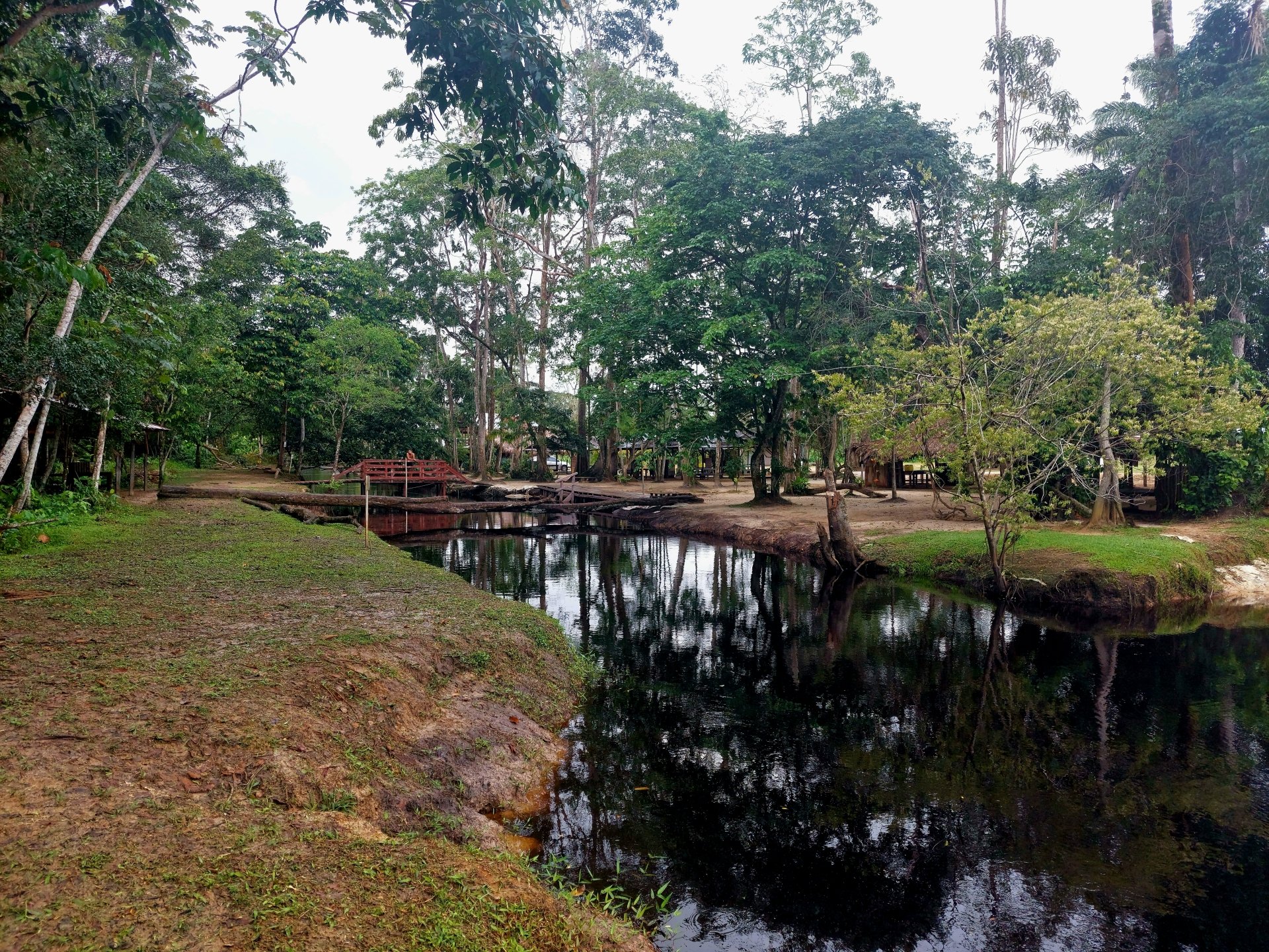  Ricky's swimming spot in Suriname (Saramacca)