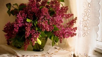 Preview Image 588071