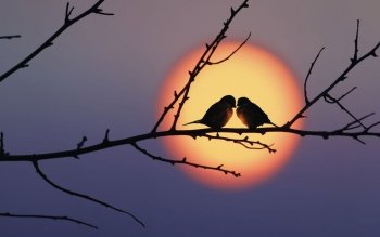 Preview Image 588305