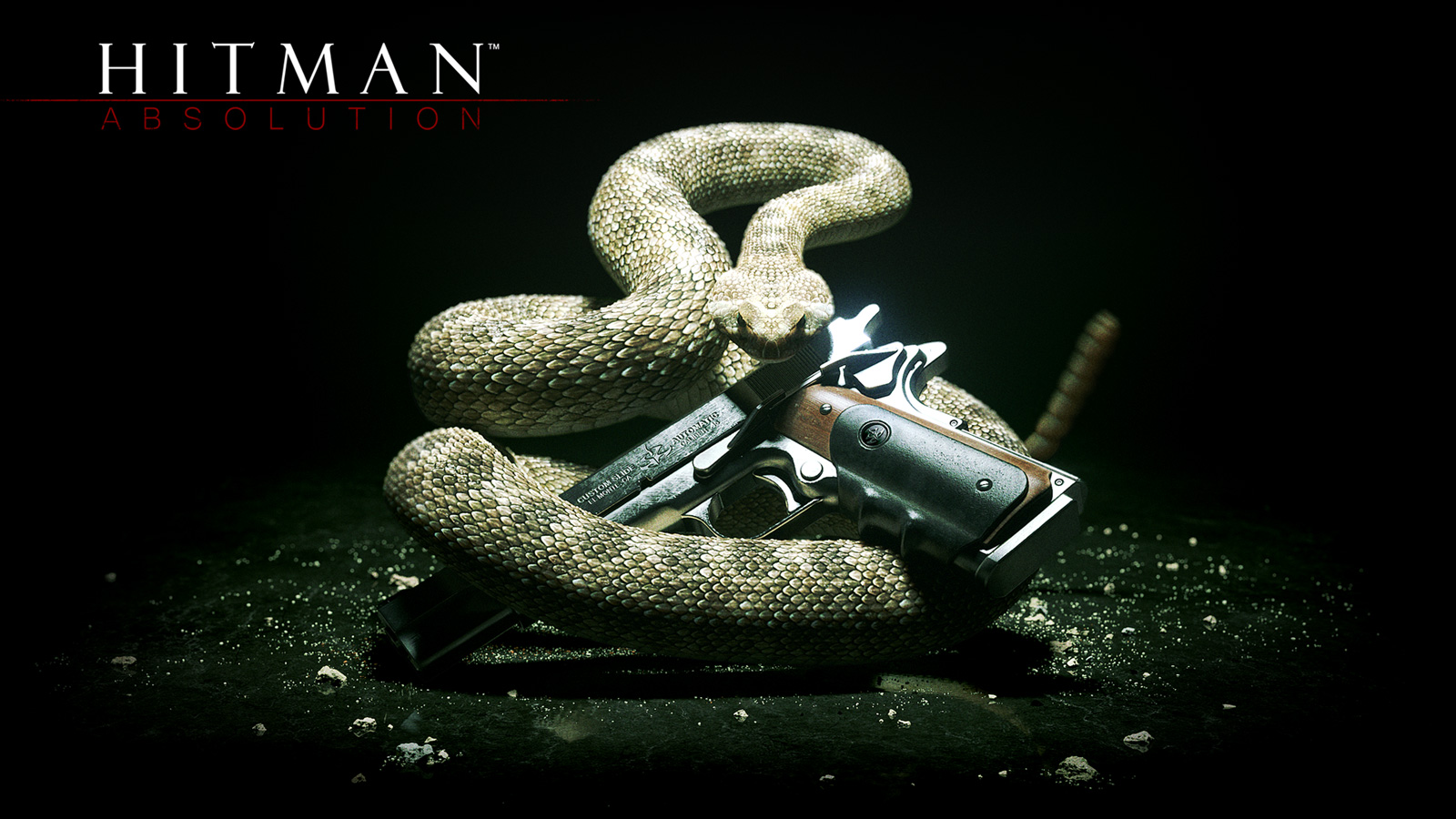 Hitman: Absolution Picture