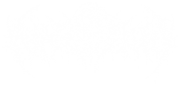 music NINTH IN PLUTO Image