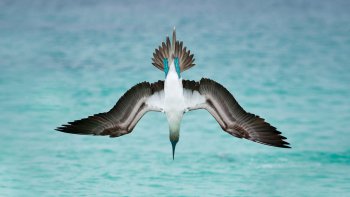 Preview Image 591812