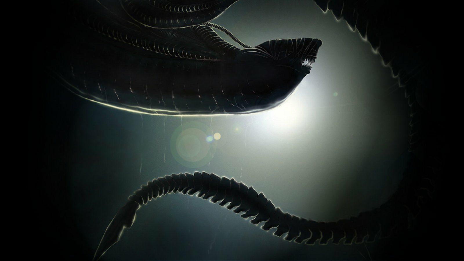 A dark sci-fi scene featuring an alien creature with elongated, serpentine features, partially illuminated against a luminous background, evoking a sense of mystery and tension.
