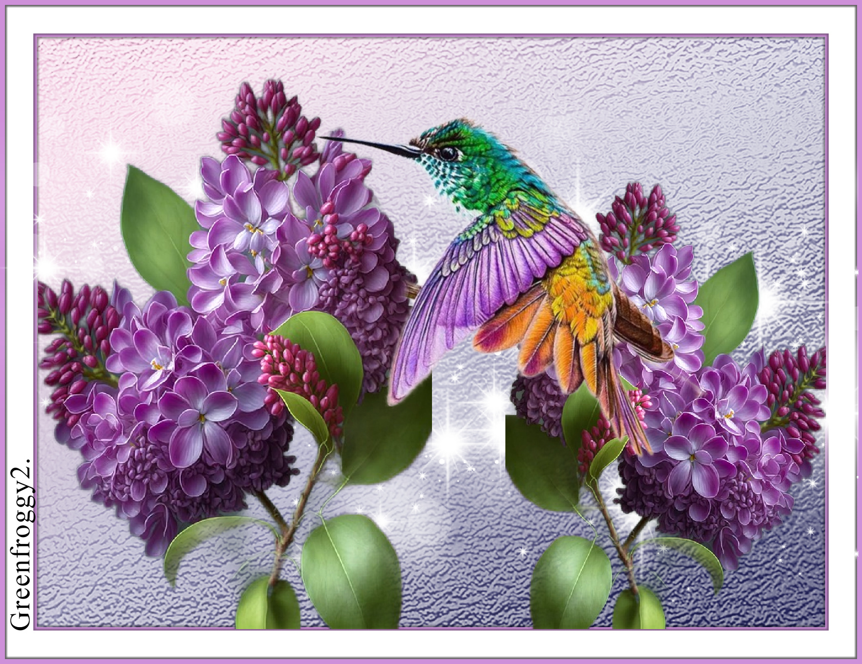 LILACS AND HUMMINGBIRD by GREENFROGGY1 Image Abyss