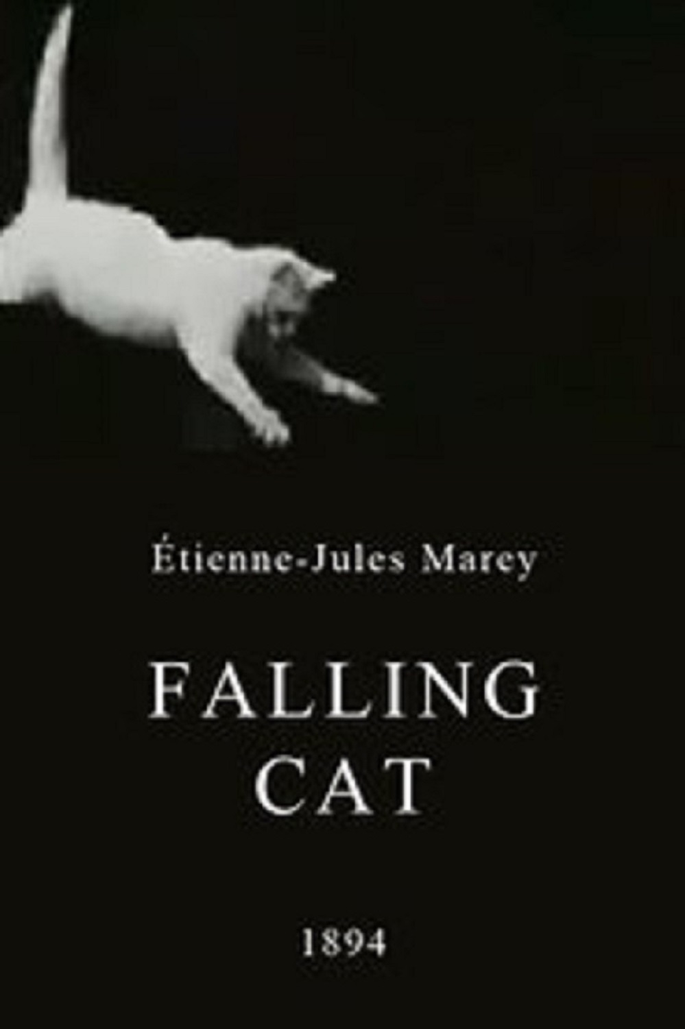 Falling Cat Picture