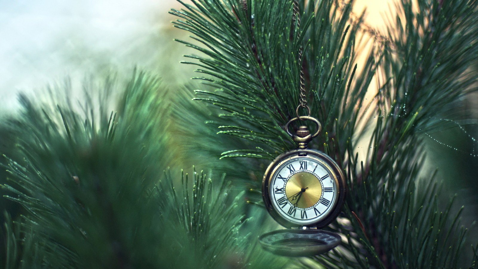 A vintage pocket watch hangs delicately from a pine branch, highlighting the blend of man-made craftsmanship and natural beauty. The timepiece features a classic design with a golden dial.