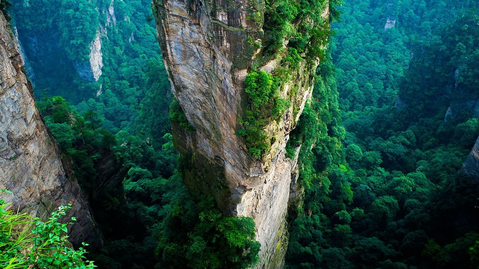 nature cliff Image