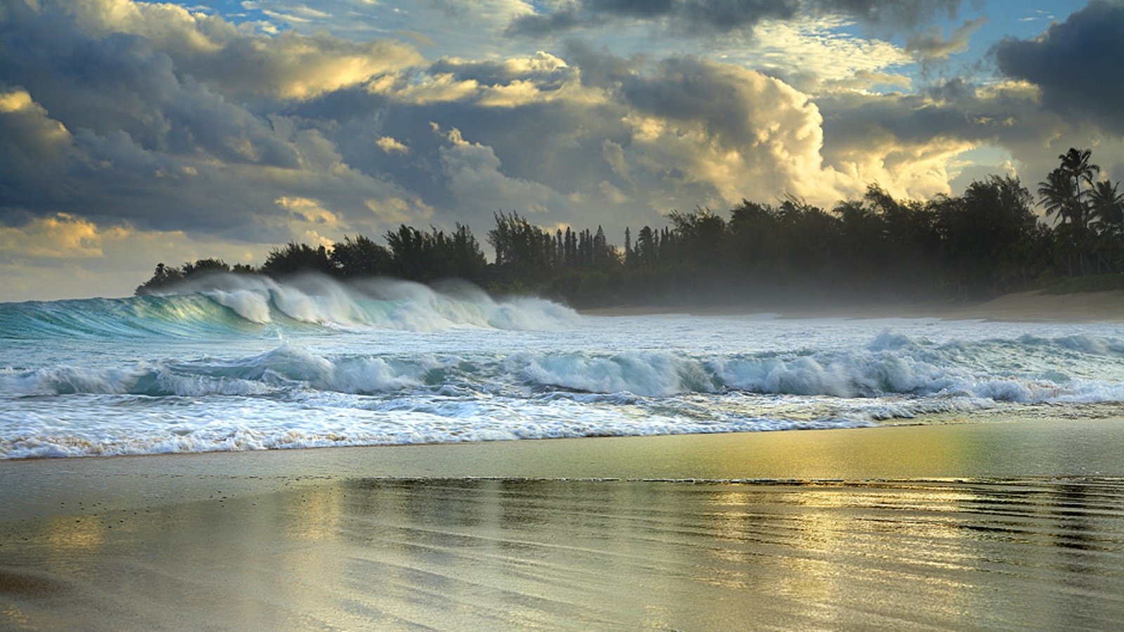 Waves crash on a serene beach in Kauai, Hawaii, with lush trees in the background and dramatic clouds overhead, capturing the beauty of ocean nature.