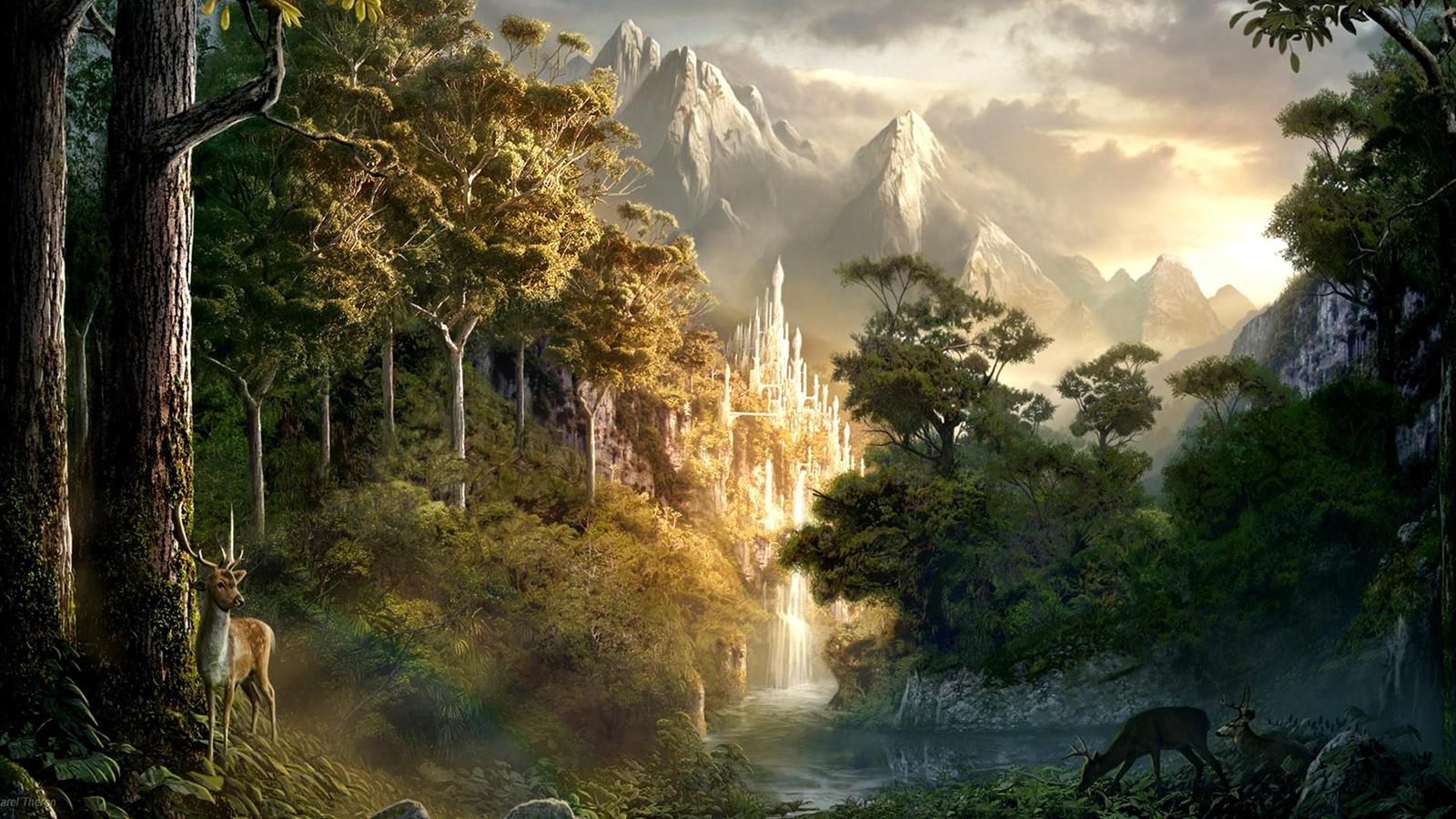 The Lord Of The Rings Picture