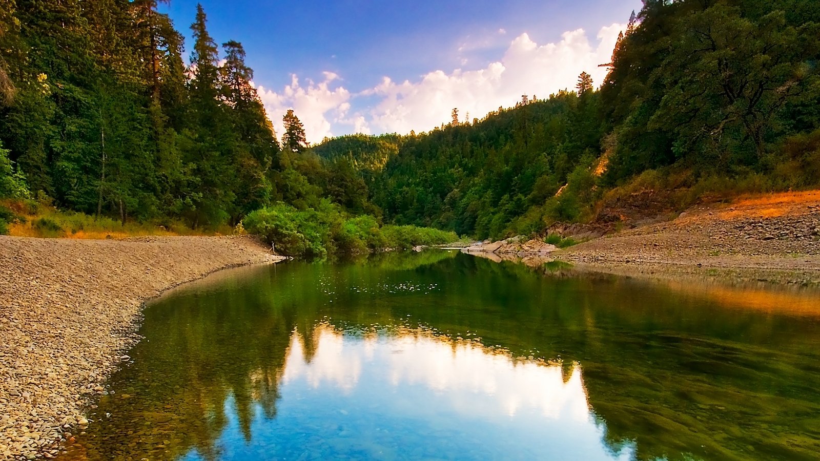 Tranquil River Flow Amidst Lush Wilderness