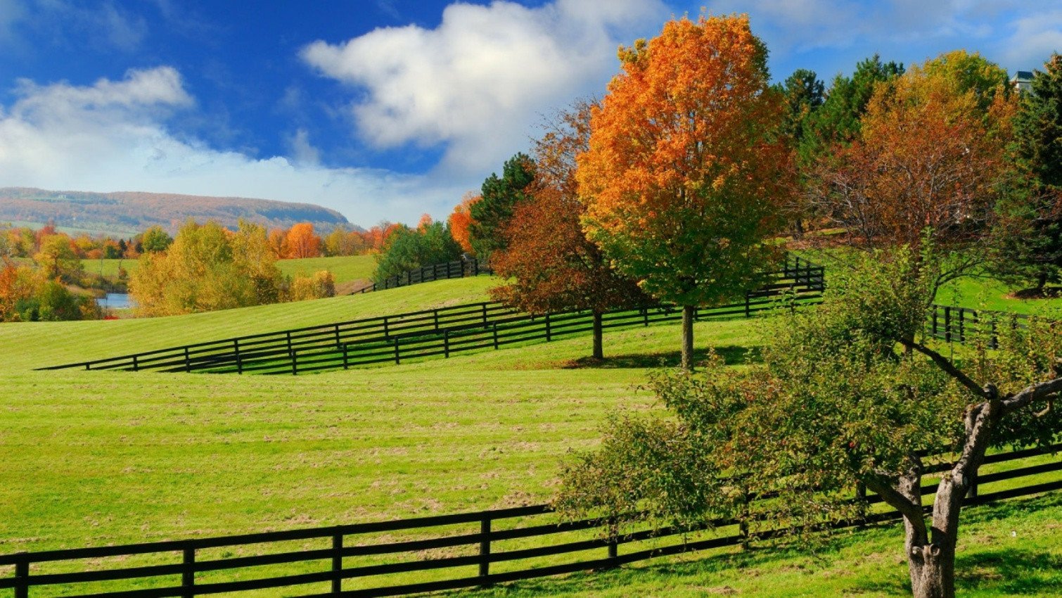 Download Nature Field Image