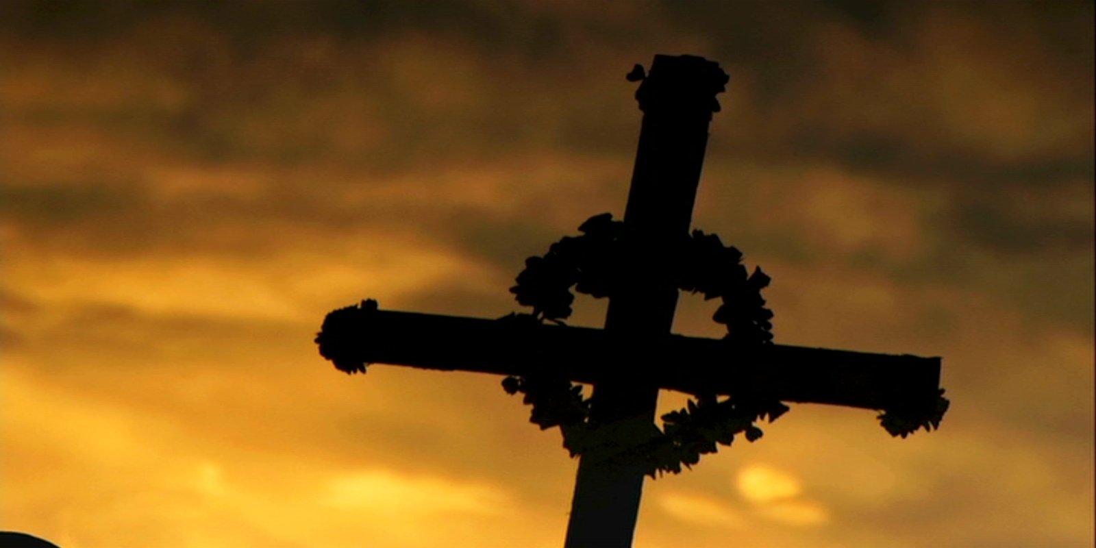 movie Fright Night 2: New Blood Image