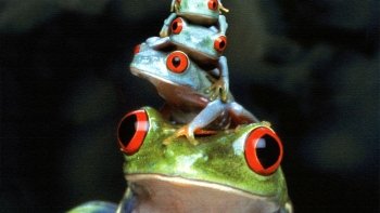 Preview Image 601049